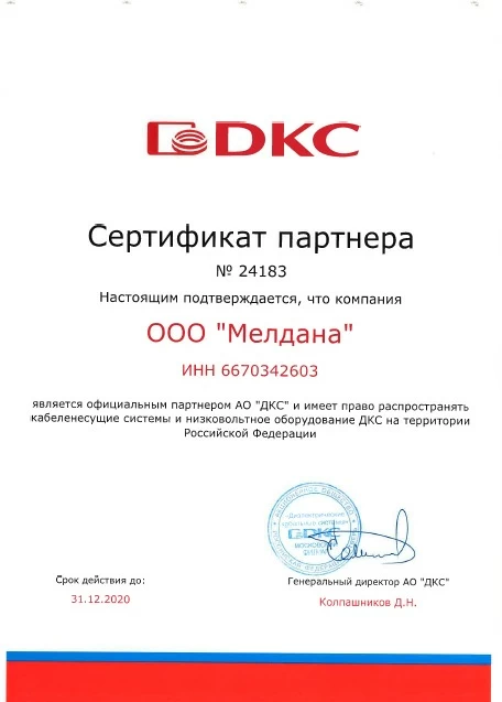 DKC.webp